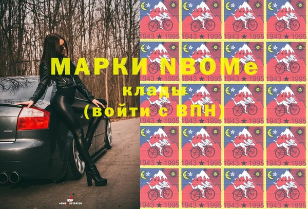 шишки Белоозёрский